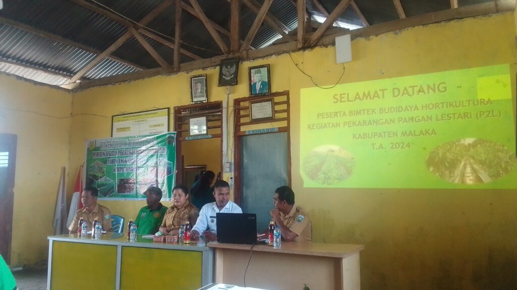 Distan dan Ketapang Malaka Adakan Bimtek Budidaya Hortikultura P2L di Rabasa Haerain