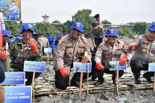 Lestarikan Lingkungan, Ditpolairud Polda Jatim Tanam Belasan Ribu Bibit Mangrove di Gresik